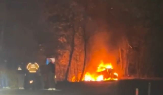 Ağaca çarpan araç alev alev yandı