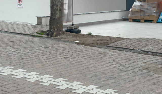 Çöpe atmak için yerden aldığı kargo poşetinin içinden 60 bin dolar çıktı