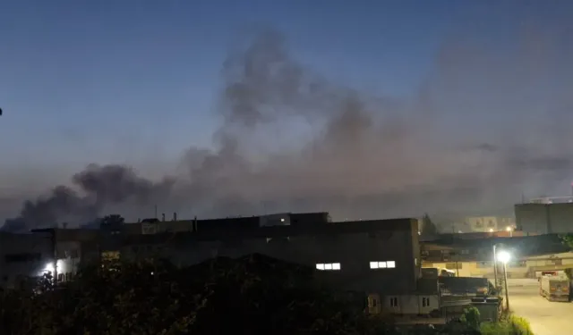 Bursa’da Korkutan Görüntü! Kestel Zehir Soluyor