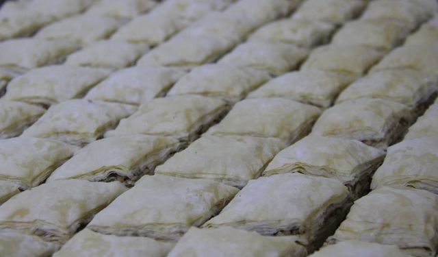 Coğrafi İşaretler Türkiye’yi Ayağa Kaldırabilir