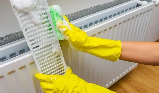 Evde Petek Temizliği Nasıl Yapılır? Adım Adım Petek Temizliği