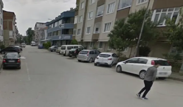 İnegöl'de sokak köpekleri okula giden kadın öğretmene saldırdı