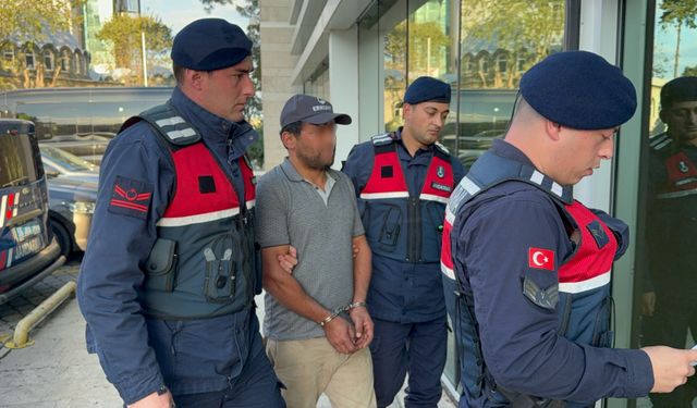 Ağaç kesimi sırasında komşusunun ölümüne sebep olan şahıs tutuklandı