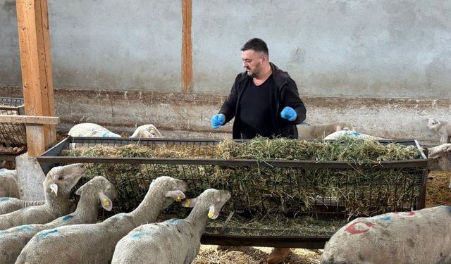 Şap Hastalığı Yenişehir’de Söndü! Üreticiler Destek Bekliyor