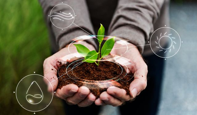 Dünyamızın Sınırsız Tükenmeyen Enerji Kaynakları Var mı? Yeşil Enerji Biyogaz Nedir?