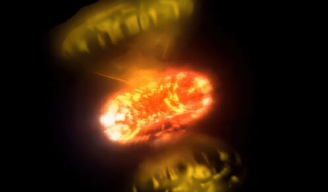 Yıldız Patlamalarının İlk Anları İlk Kez Bu Kadar Net Görüldü! Uzayın En Hızlı Patlamalarında Neler Yaşanıyor?