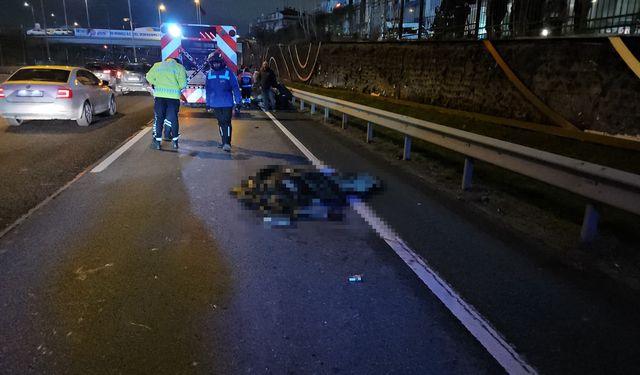 Bariyerlere çarpan motosikletli feci şekilde hayatını kaybetti