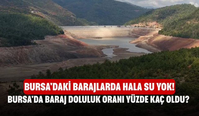 BURSA GÜNCEL BARAJ DOLULUK ORANI | Bursa'da baraj doluluk oranı yüzde kaç oldu?