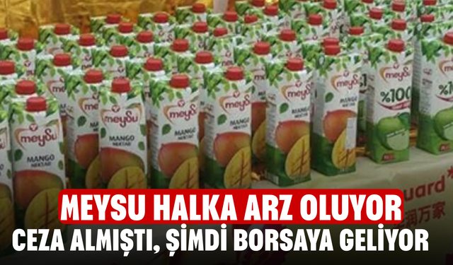 Ceza almıştı, şimdi borsaya geliyor! Meysu halka arz oluyor