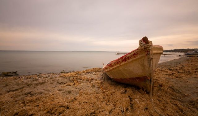 Dünya Sarılma Günü | 21 Ocak Ne Günü? 21 Ocak Dünyada ve Türkiye’de Ne Günü? 21 Ocak Ne Burcu?