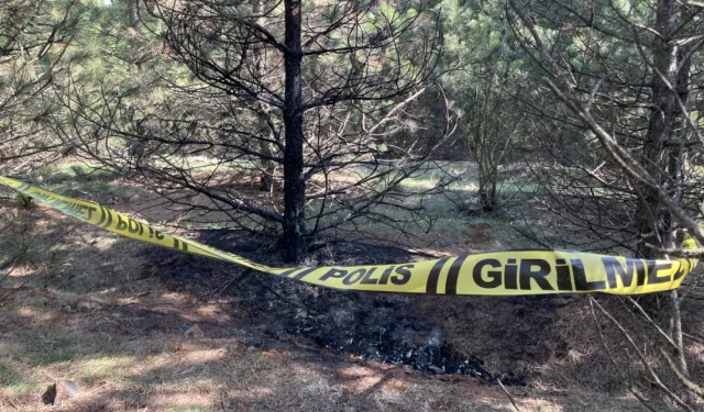 Tartıştığı sevgilisini boğarak öldürüp, cesedini 2 kez benzin dökerek yakmış