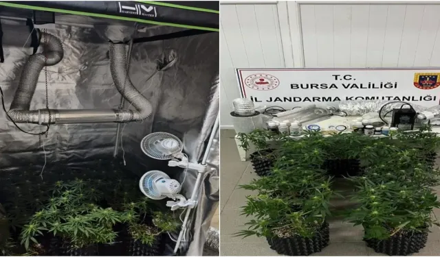 İnegöl'de Jandarmadan Uyuşturucu Operasyonu: Düzenek Ele Geçirildi