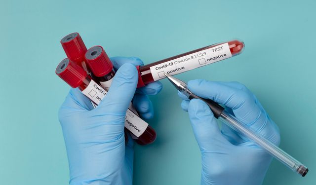 Kan Neden Pıhtılaşır? Kan Pıhtılaşmasına  Ne İyi Gelir? Pıhtılaşma Olmasaydı Ne Olurdu?