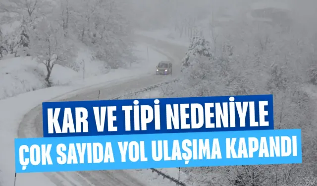 Kar ve tipi nedeniyle çok sayıda yol ulaşıma kapandı! Bursa'da hangi yollar kapalı?