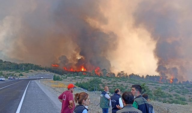 Kayıp olarak aranan kadın dere yatağında ölü bulundu