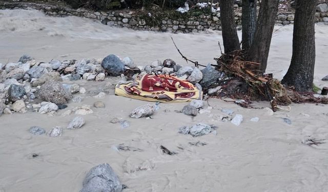 Balıkları kurtarmak isterken sele kapılarak hayatını kaybetti