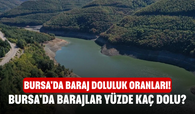BURSA'DA BARAJ DOLULUK ORANLARI! Bursa'da barajlar yüzde kaç dolu, son durum nedir?