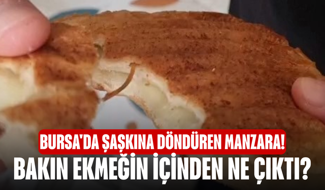Bursa'da şaşkına döndüren manzara! Bakın ekmeğin içinden ne çıktı?