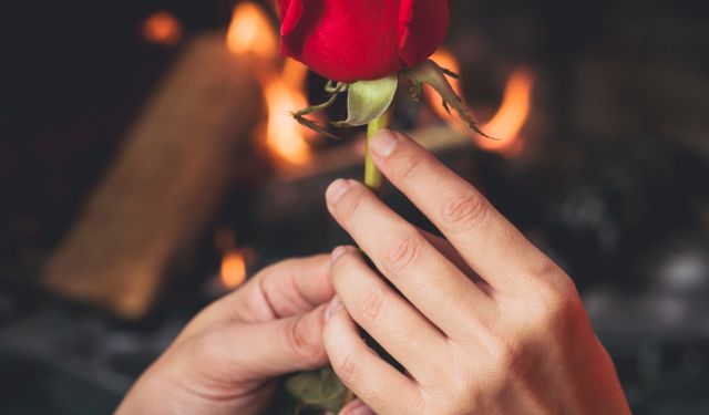 Dünya İlgi Günü | 07 Şubat Ne Günü? 07 Şubat Dünyada ve Türkiye’de Ne Günü? 07 Şubat Ne Burcu?