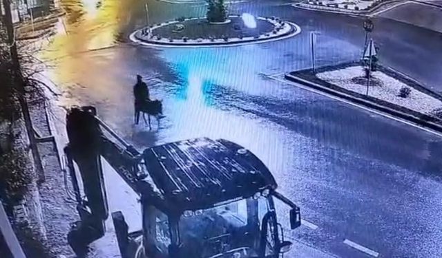 Forklifle gelmiş, eşekle kaçmış