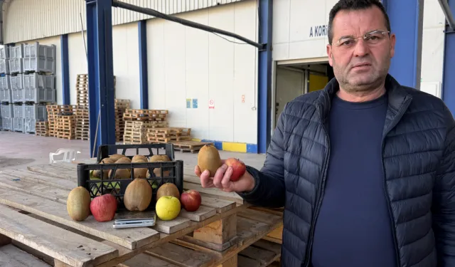 İznik Kivisi Boyutuyla Gündem Oldu