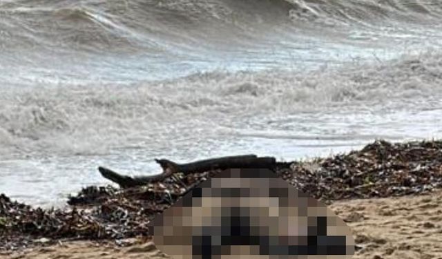 Sarımsaklı sahiline kadın cesedi vurdu