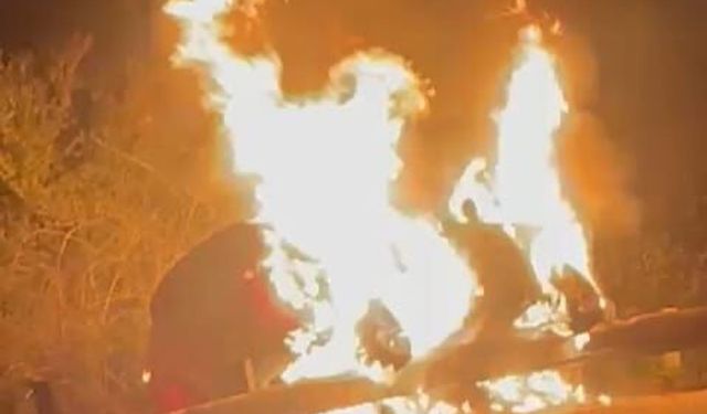 Bilecik’te korkutan yangın!