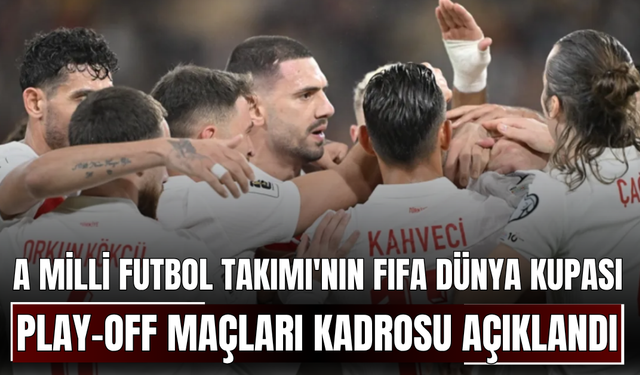 A Milli Futbol Takımı'nın, FIFA Dünya Kupası play-off maçları kadrosu açıklandı