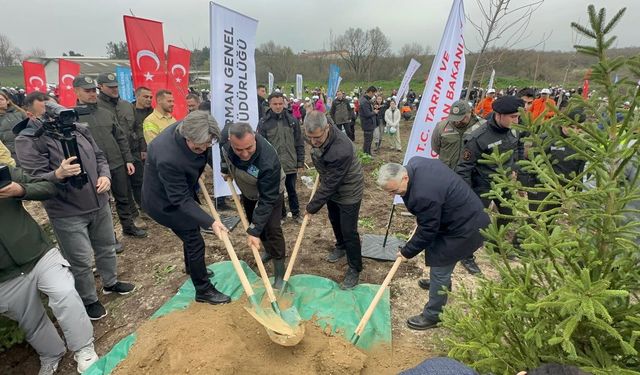 Uludağ Üniversitesi’nde yanan alan yeniden yeşillendi