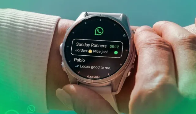 Artık Bileğinizden Mesajlaşın! WhatsApp, Garmin Saatlere Geldi