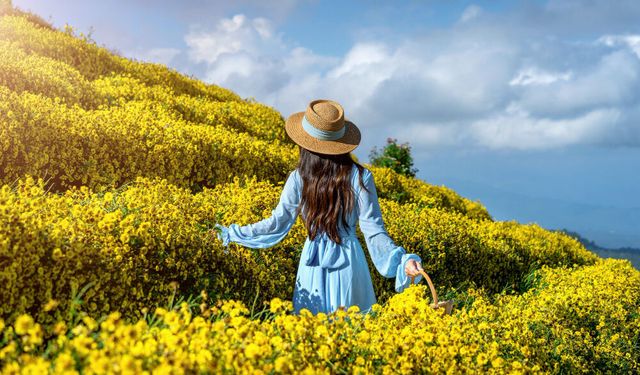 Bahara Merhaba Günü | 01 Mart Ne Günü? 01 Mart Dünyada ve Türkiye’de Ne Günü? 01 Mart Ne Burcu?