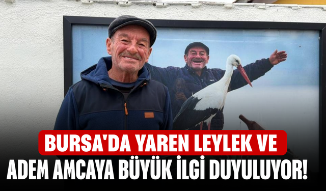 Bursa'da Yaren Leylek ve Adem amcaya büyük ilgi duyuluyor!