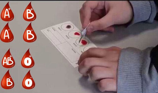 Kan Grubunuzu Hâlâ Bilmiyor Musunuz? En Kolay Nasıl Öğrenilir ve Kan Grubu Kartı Nasıl Alınır?