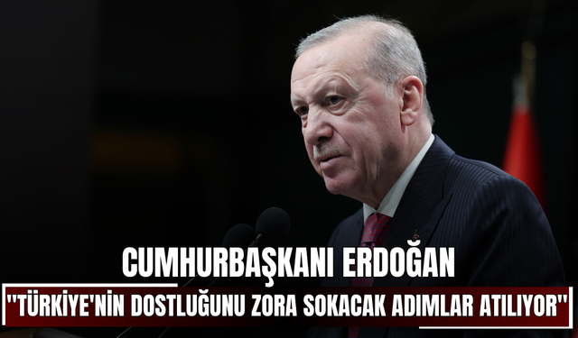 Cumhurbaşkanı Erdoğan: "Türkiye'nin dostluğunu zora sokacak provakatif adımlar atılmaya devam ediliyor"