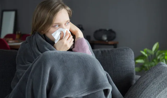 Domuz gribi vakalarında artış