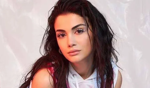 Ece Ronay hakkında TSK paylaşımı soruşturması