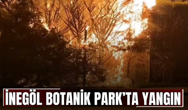 İnegöl Botanik Park’ta yangın