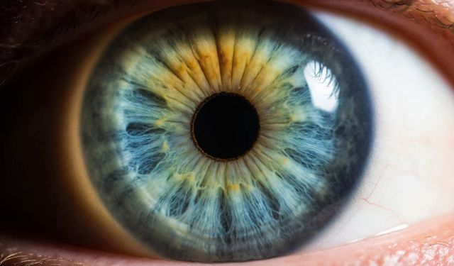 İris Nedir? Gözümüze Rengini Veren Bu Halka Ne İşe Yarar?