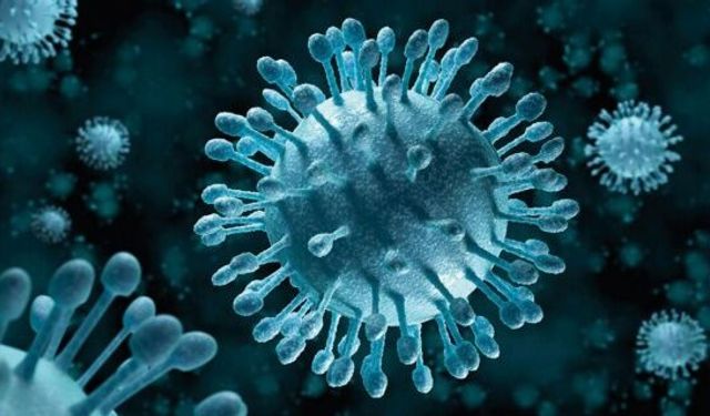 Virüs Nedir, Vücuda Girdikten Sonra Belirtiler Ne Zaman Ortaya Çıkar ve Hangi Hastalıklara Yol Açabilir?