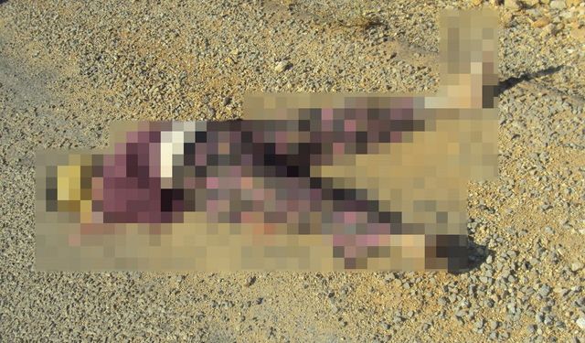 Antalya'da 15 yıllık cinayetin sırrı DNA eşleşmesi ile çözüldü