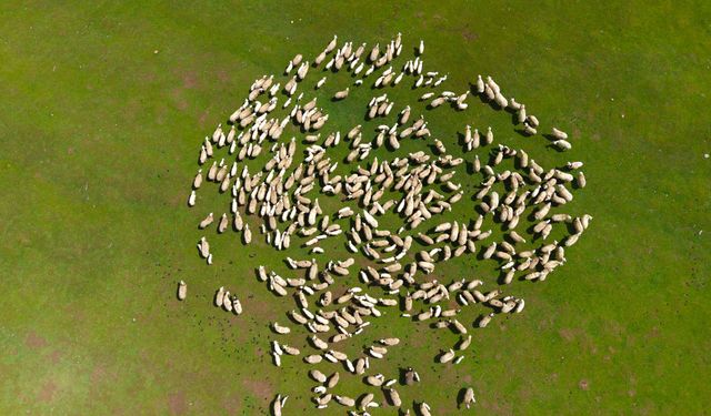 Genç besicilere büyük destek