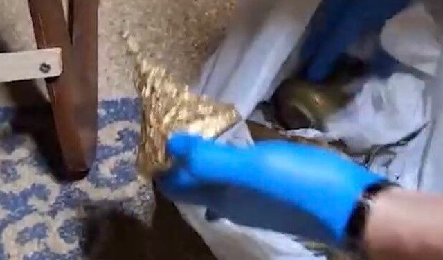 İzmir'de tarihi eser operasyonu! 203 eser ele geçirildi