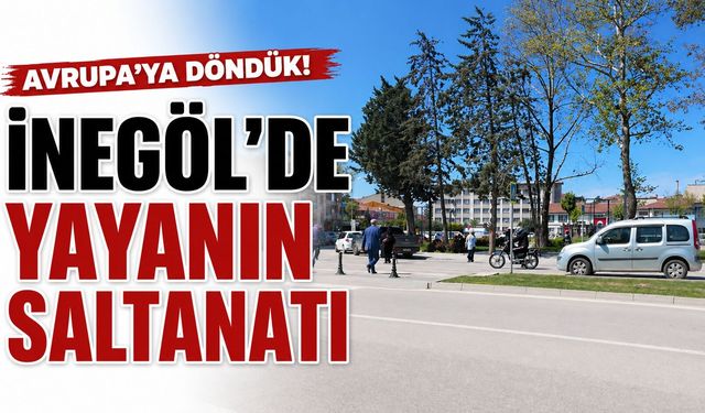Avrupa’ya döndük! İnegöl’de Yayanın Saltanatı