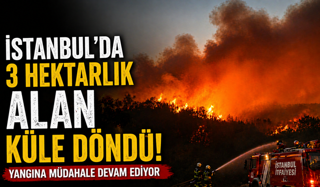 İstanbul'da 3 hektarlık alan küle döndü! Yangına müdahale devam ediyor