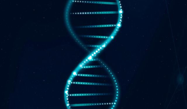 Çocuk Anne Karnında İken DNA Testi Yapılabilir mi? Anne Karnında Babalık Testi