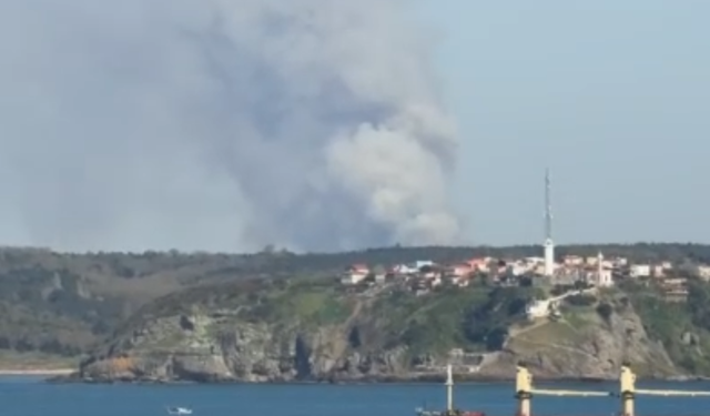 İstanbul Beykoz’da orman yangını paniği