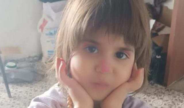 Hizan’da kayıp kız çocuğu için arama çalışması başlatıldı