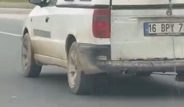 İnegöl'de köpeğin komik anları kamerada