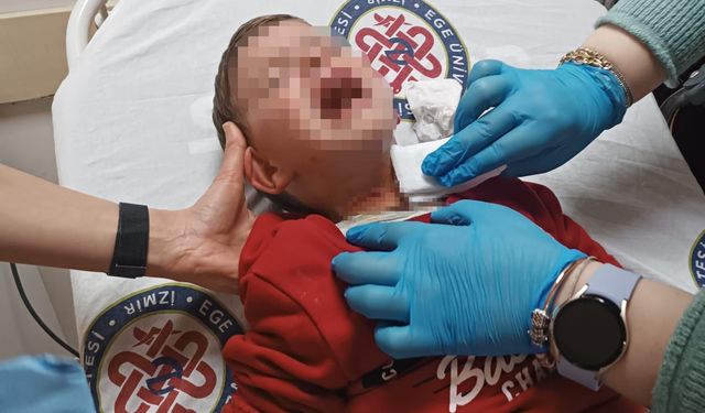 İzmir’de Parkta 2 Yaşındaki Çocuğa Bıçaklı Saldırı