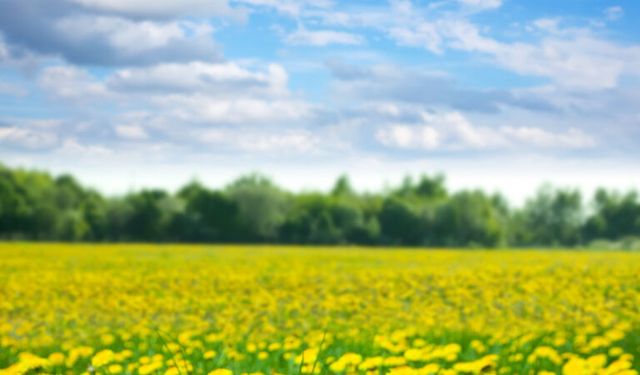 Nisan Ayı Ne Anlama Geliyor? 2026 Nisan Rehberi, Tarihi, Önemi, Tatiller ve Vergi Takvimi